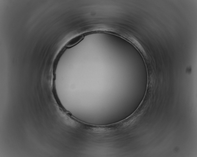 X0000091701132200708240927