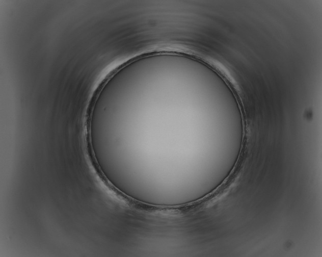 X0000091701133200708240927