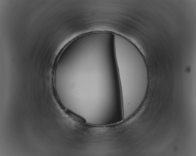 X0000091701134200708240927