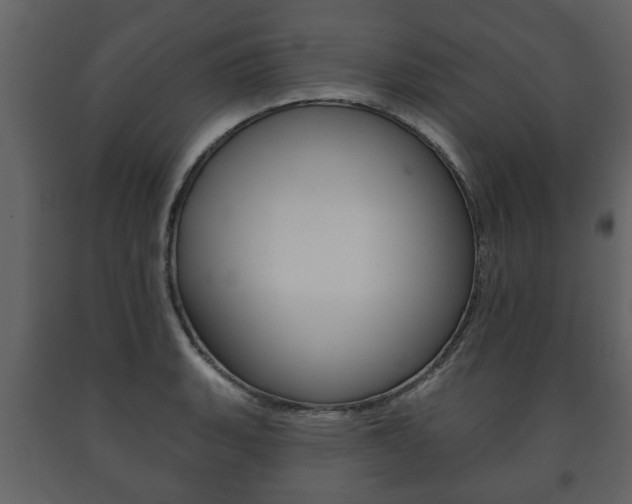 X0000091701135200708240927