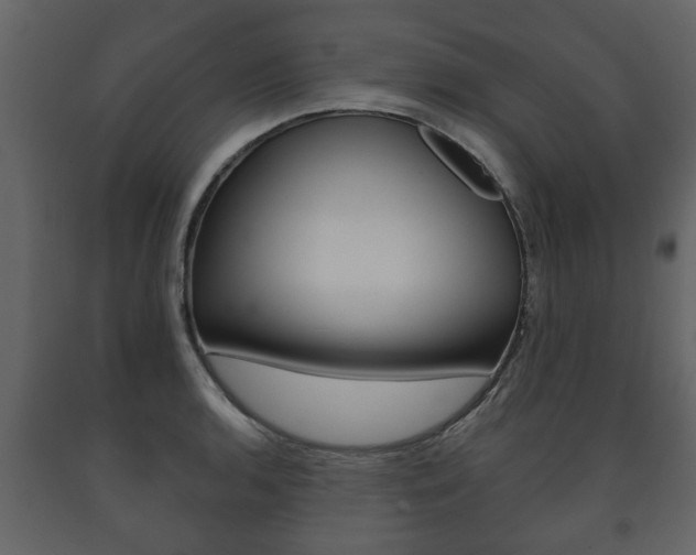 X0000091701136200708240927