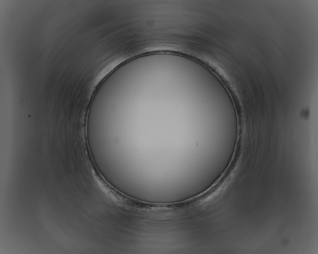 X0000091701137200708240927