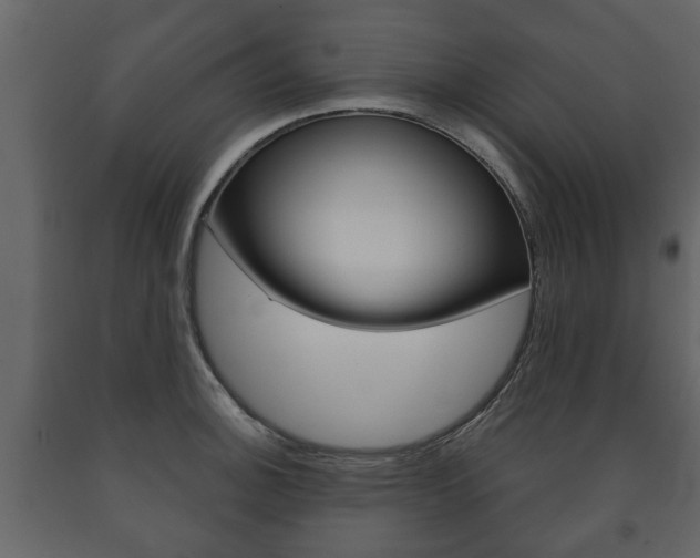 X0000091701140200708240927