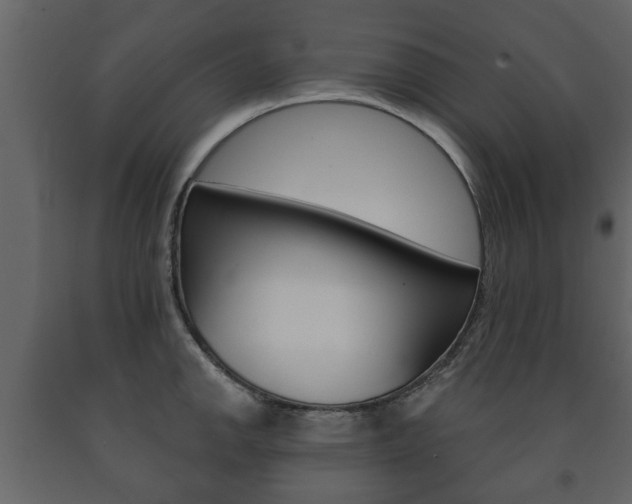 X0000091701142200708240927