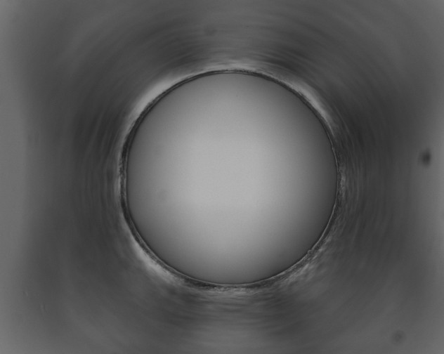X0000091701143200708240927