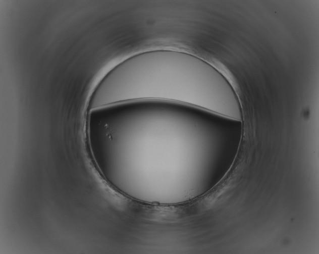 X0000091701144200708240927