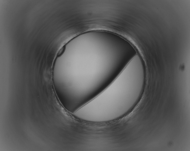 X0000091701145200708240927