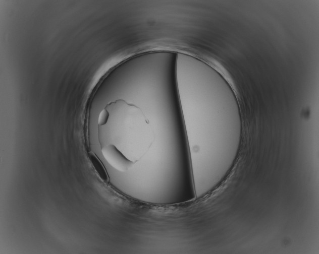 X0000091701146200708240927