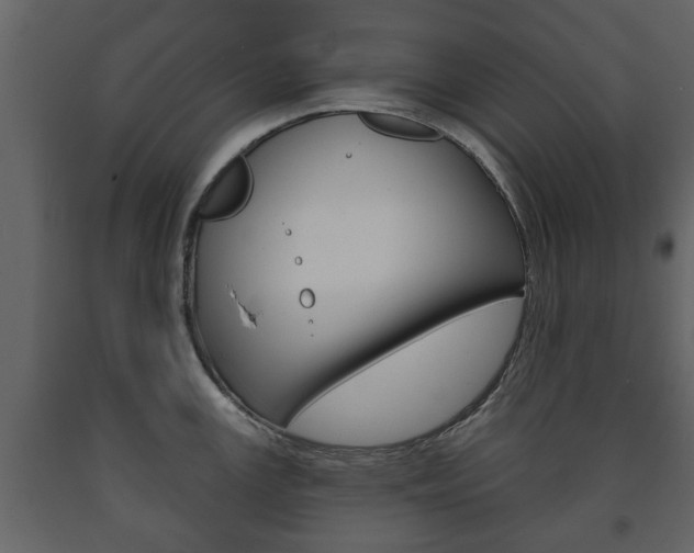 X0000091701147200708240927