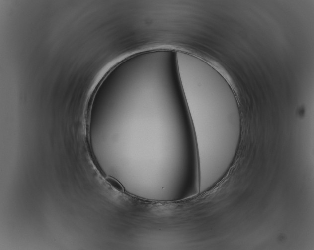 X0000091701148200708240927