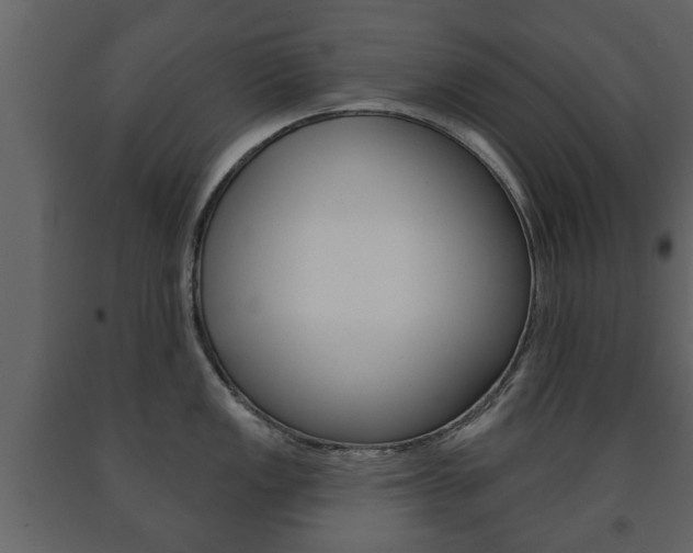 X0000091701149200708240927