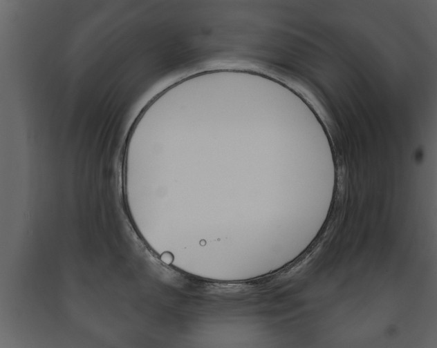 X0000091701150200708240927