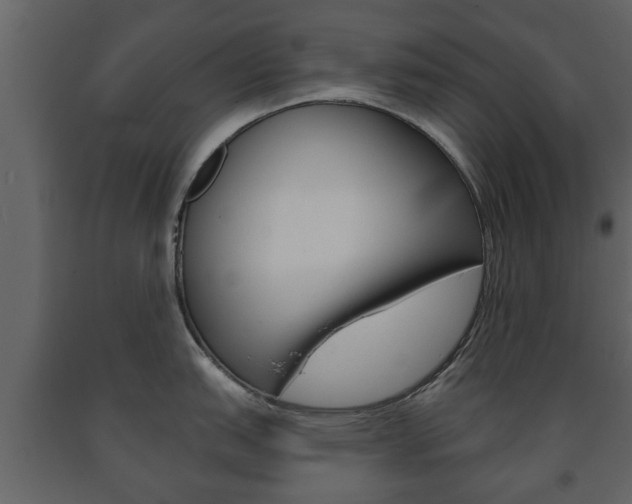 X0000091701151200708240927