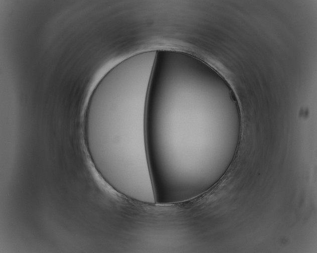 X0000091701152200708240927