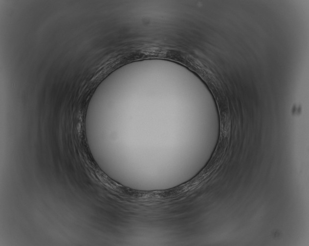 X0000091701154200708240927