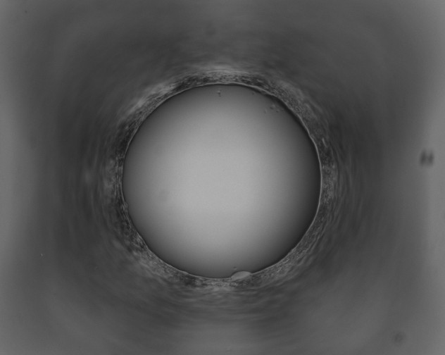 X0000091701157200708240927