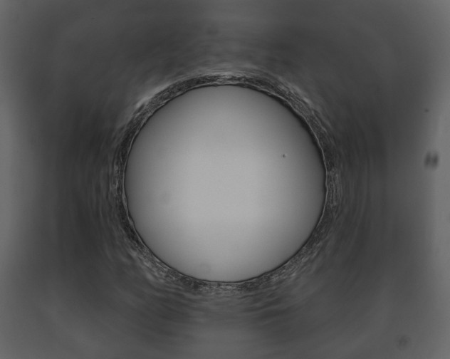 X0000091701158200708240927