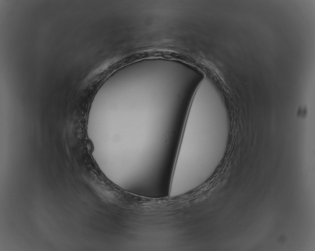 X0000091701159200708240926