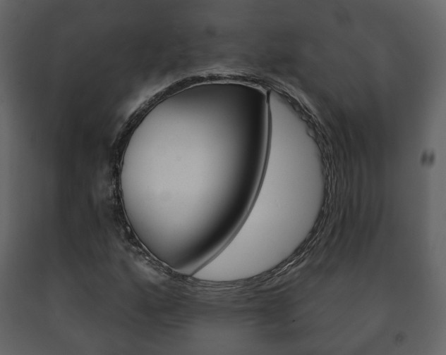 X0000091701160200708240926