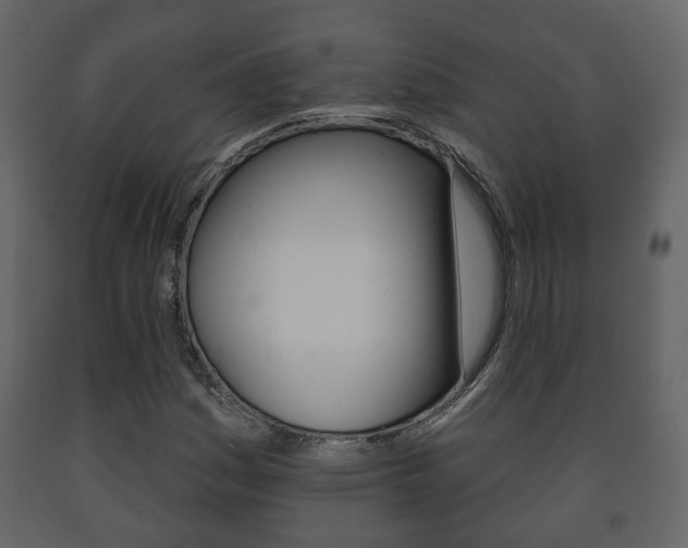 X0000091701161200708240926