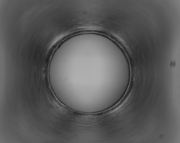 X0000091701163200708240926