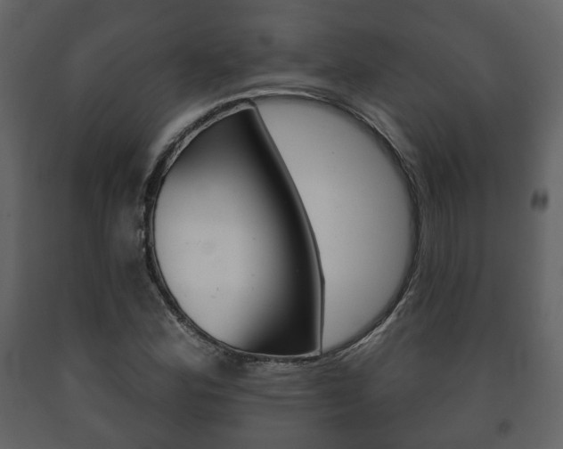 X0000091701164200708240926