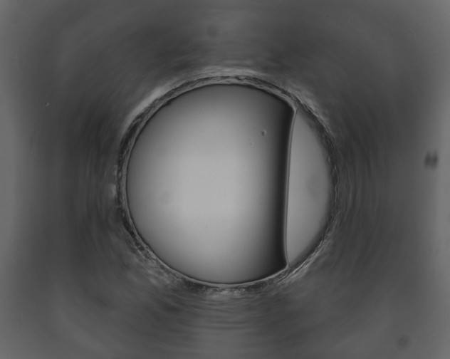 X0000091701165200708240926