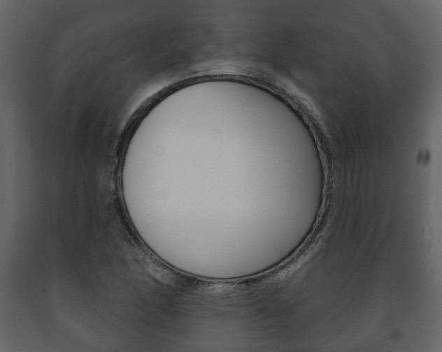 X0000091701166200708240926