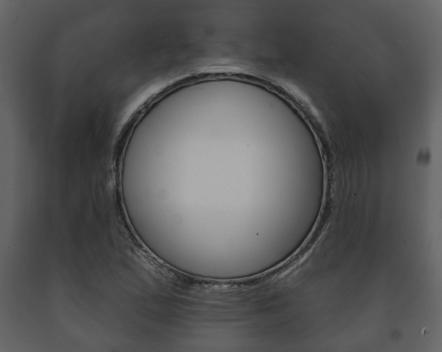 X0000091701167200708240926