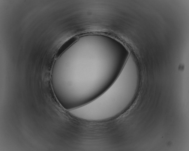 X0000091701169200708240926