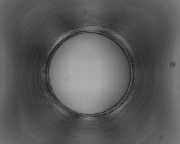 X0000091701170200708240926