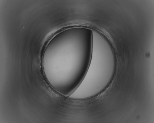 X0000091701172200708240926