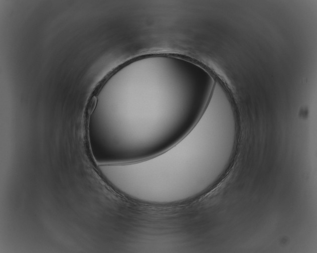 X0000091701173200708240926