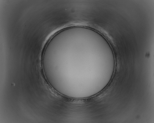 X0000091701174200708240926