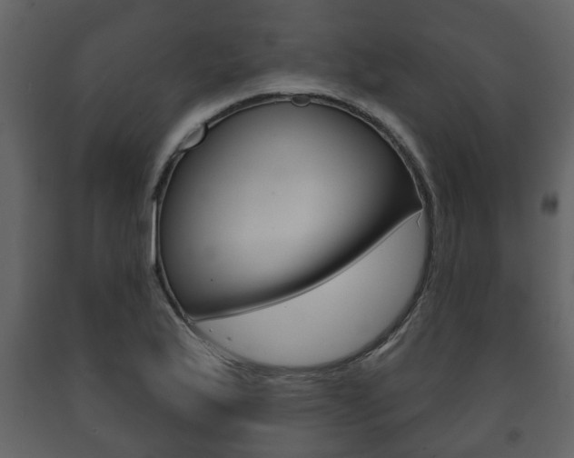 X0000091701175200708240926