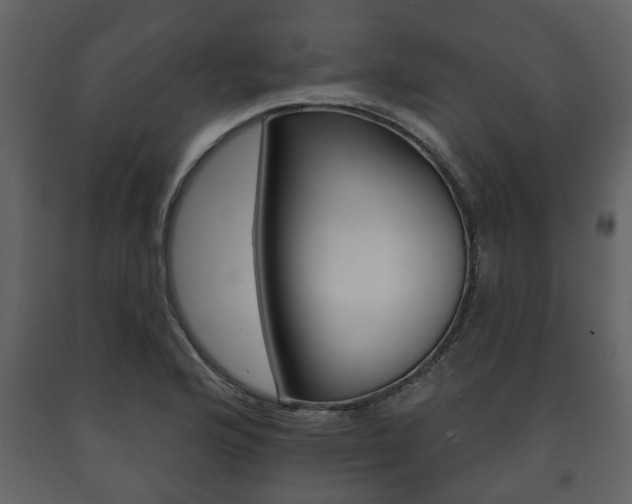 X0000091701176200708240926