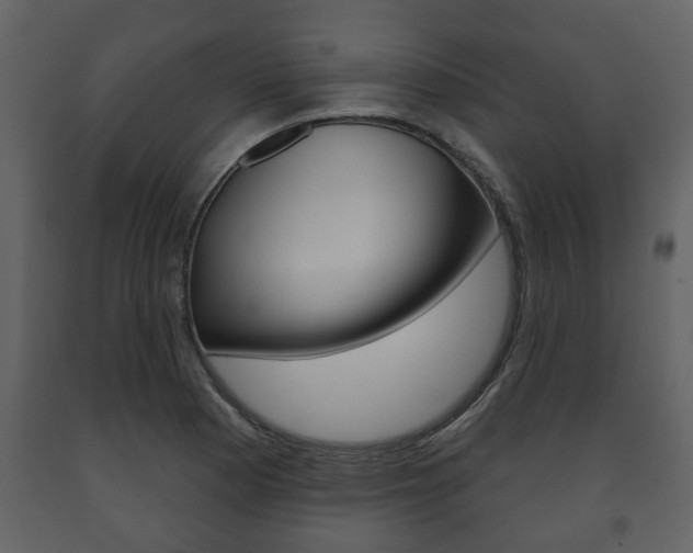X0000091701177200708240926
