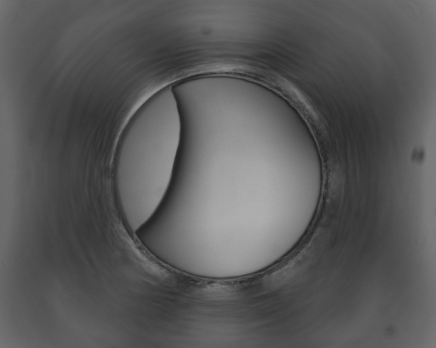 X0000091701178200708240926
