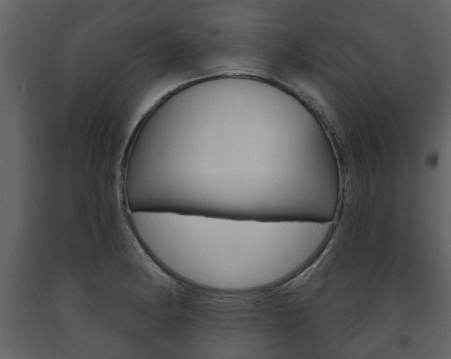 X0000091701182200708240926