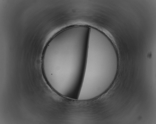 X0000091701183200708240926