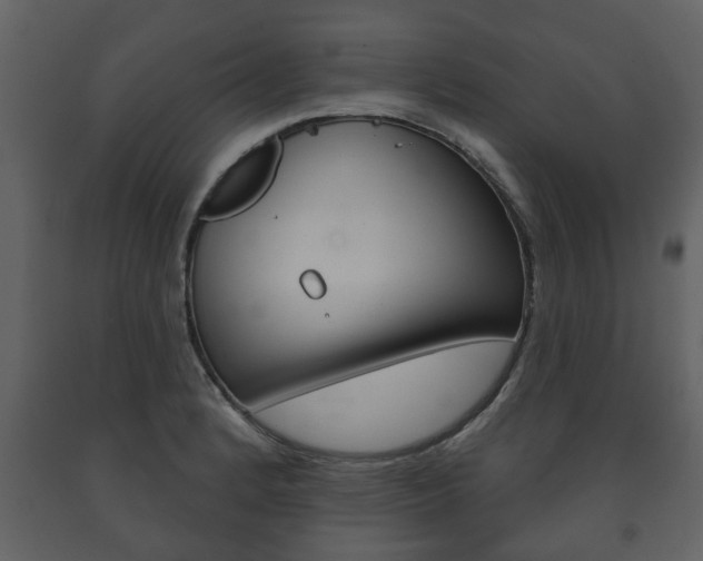 X0000091701184200708240926