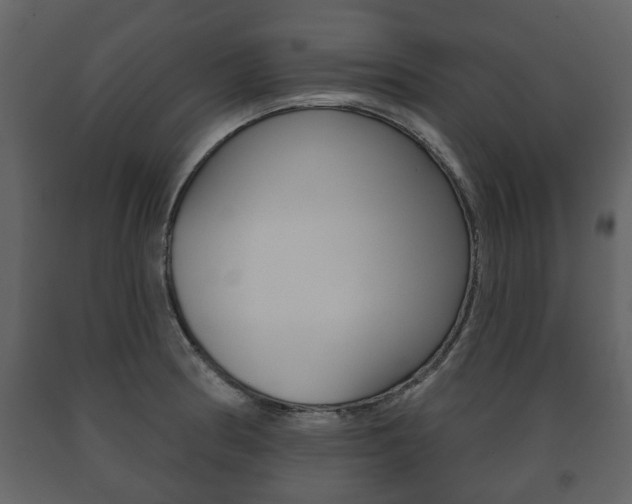 X0000091701186200708240926