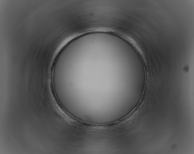 X0000091701187200708240926