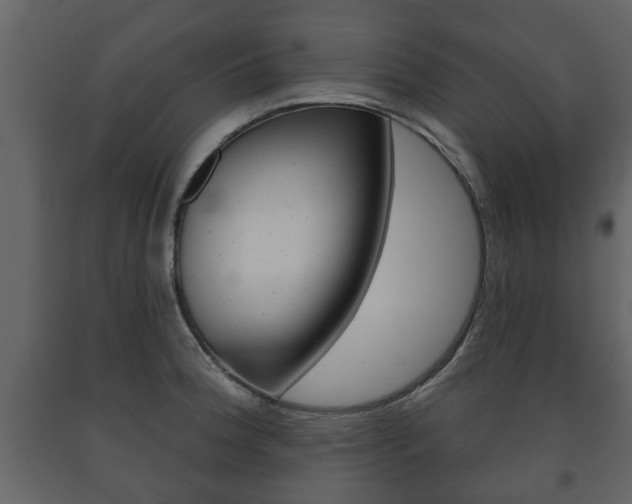 X0000091701188200708240926