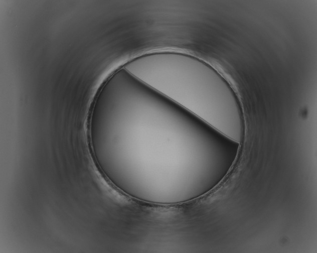 X0000091701189200708240926