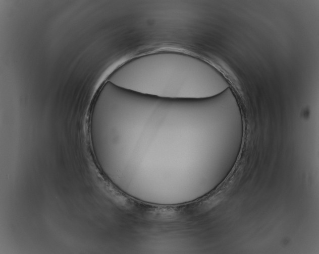 X0000091701190200708240926