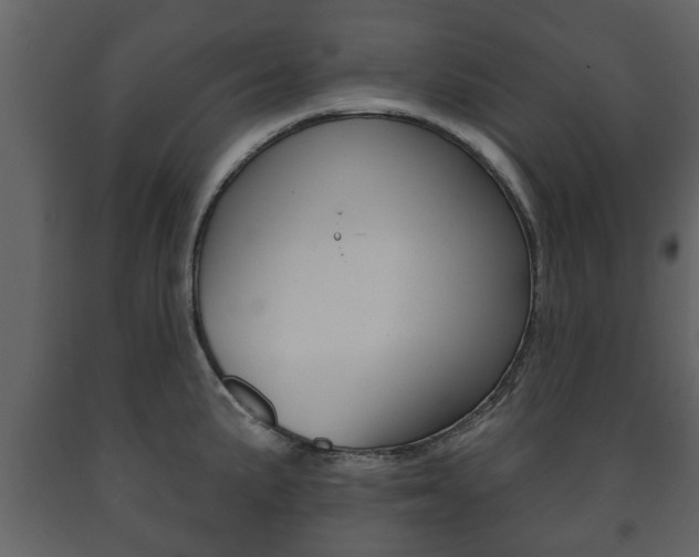 X0000091701191200708240926