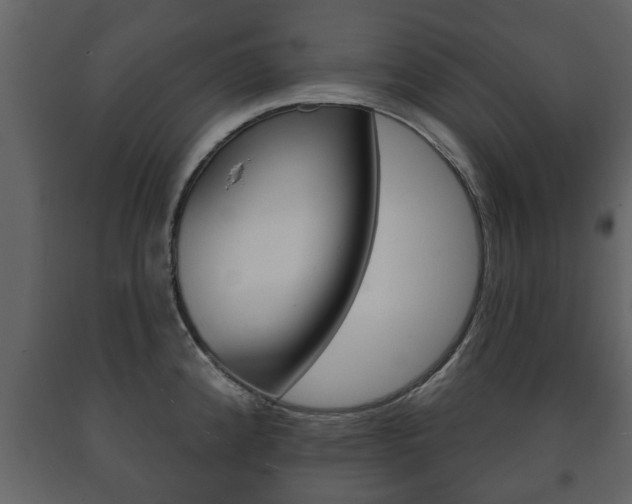 X0000091701192200708240926