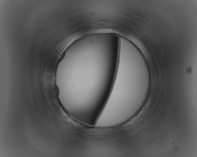 X0000091701193200708240926