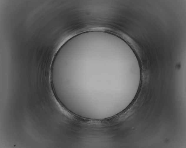 X0000091701194200708240926